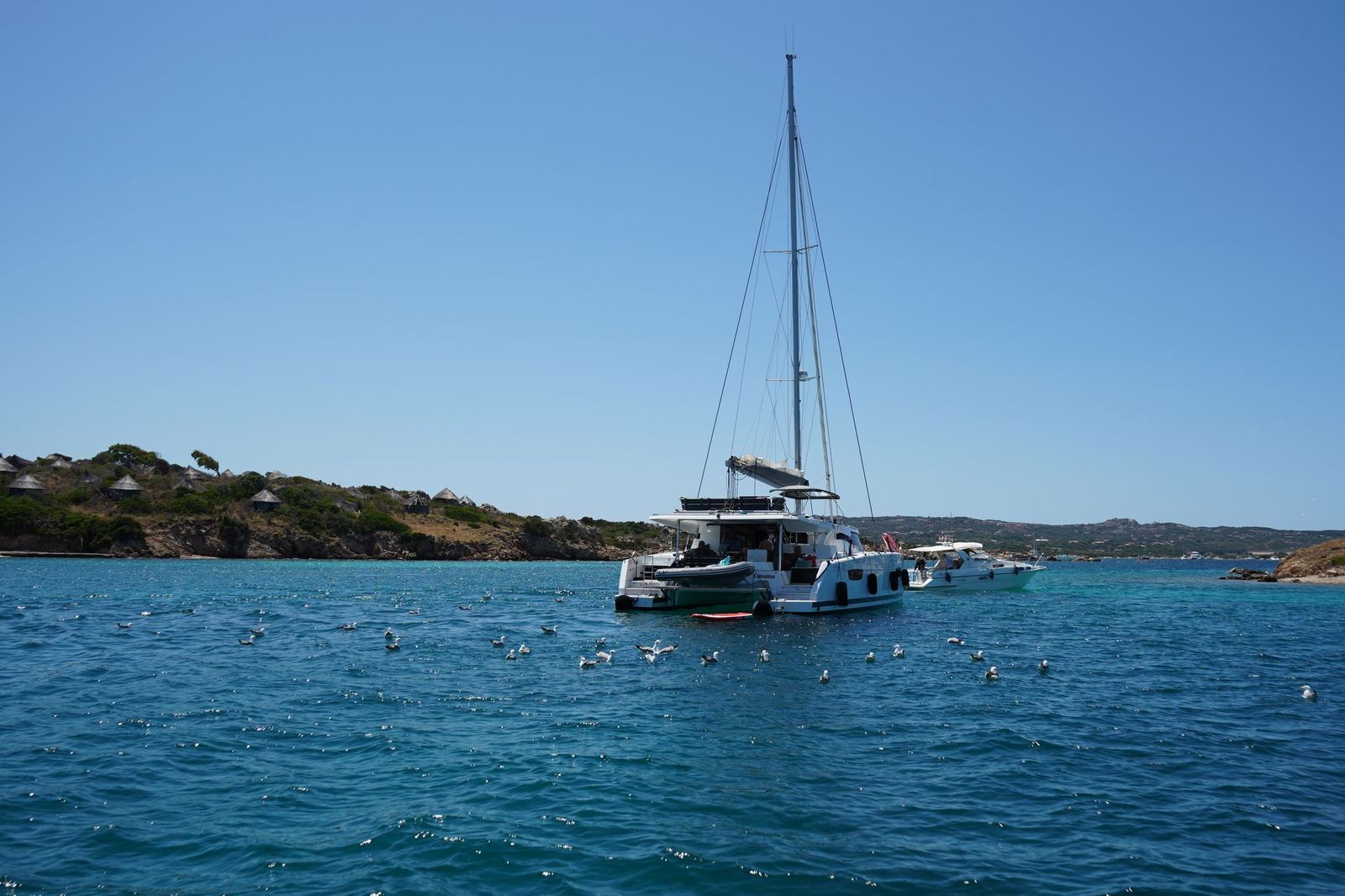 Sirius Ege